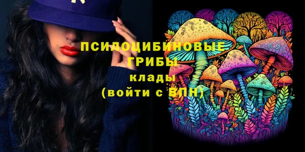 дживик Козловка