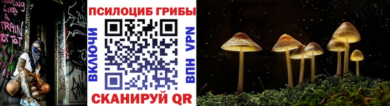 Псилоцибиновые грибы мицелий  Купить  Сегежа 