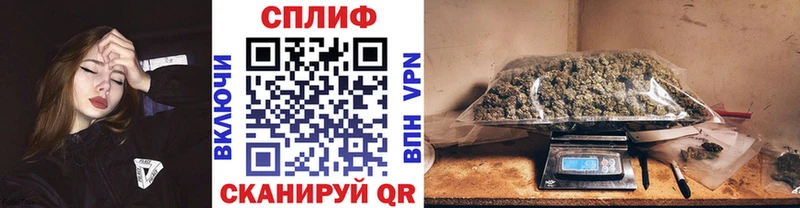 Купить где  Сегежа  Бошки Шишки план 